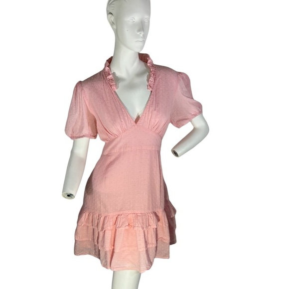 NEON Rose Ruffle V-Neck Pink Fit and Flair Dress with Swiss Dots & Ruffle Hem L - Picture 2 of 14